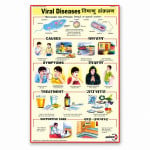 Viral Diseases Chart
